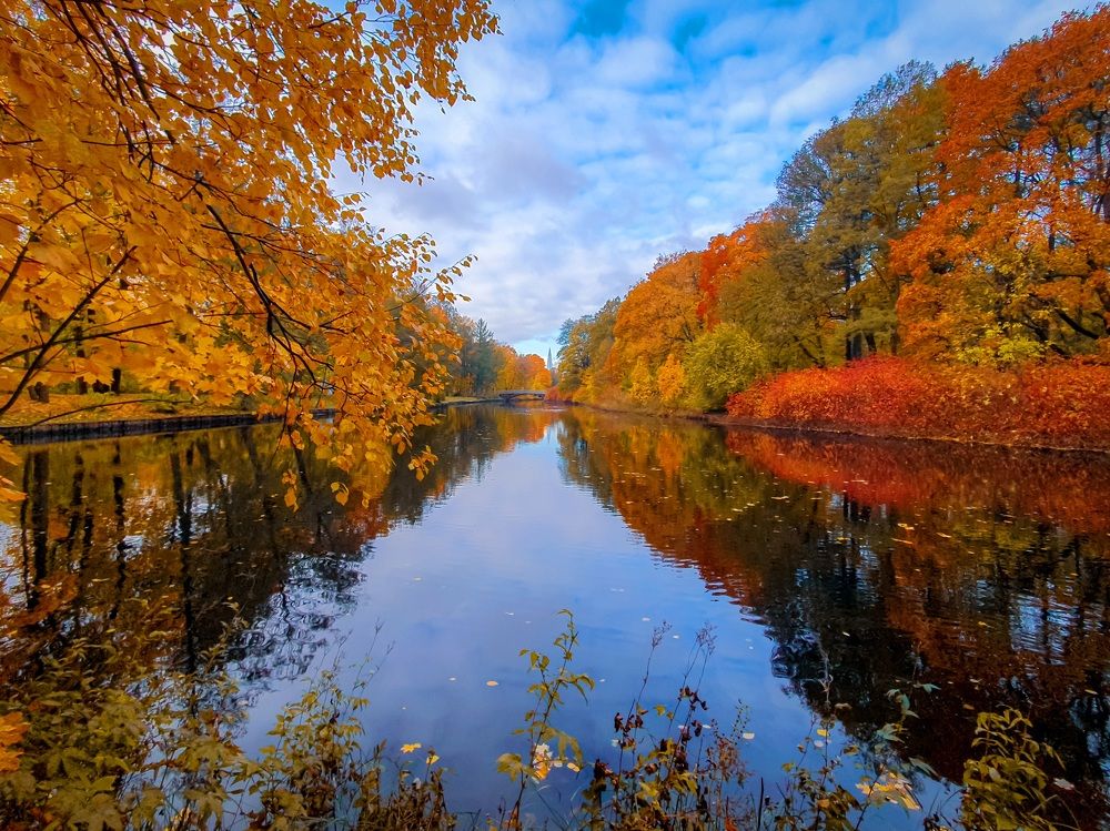 Цвета осени.