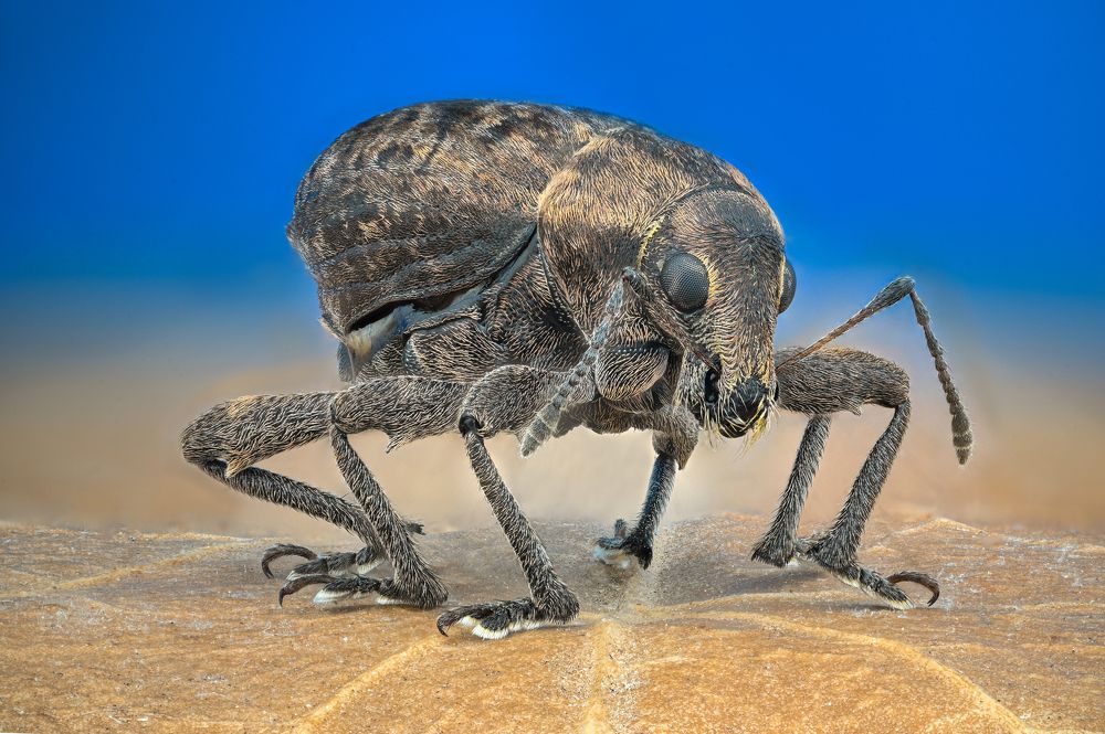 Photograph by Цветан Ганев