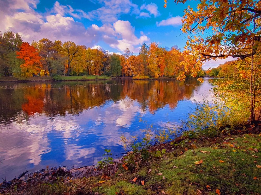 Яркие краски осени.