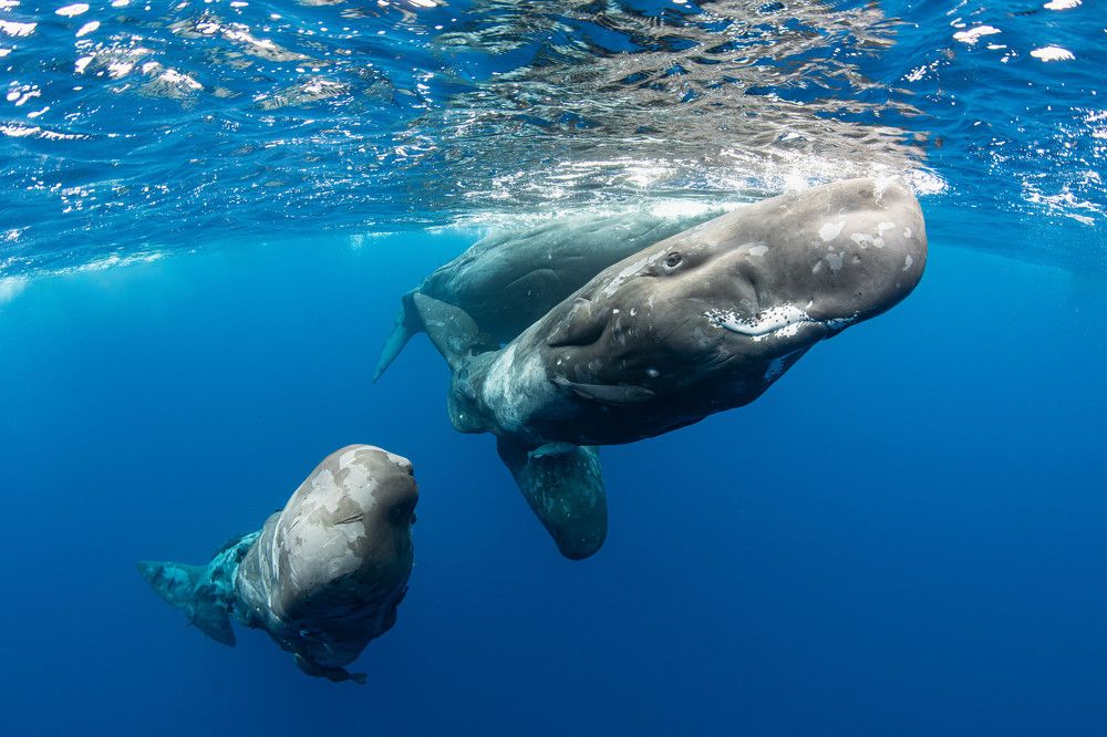 Photograph by Valentina Cucchiara