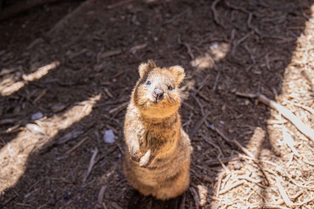 Photograph by Junya Higashi