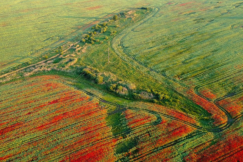 Photograph by Наталья Брюхненко