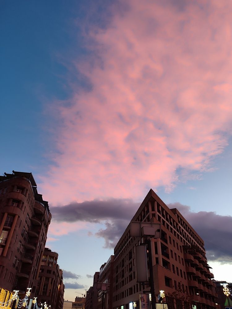 Северный проспект