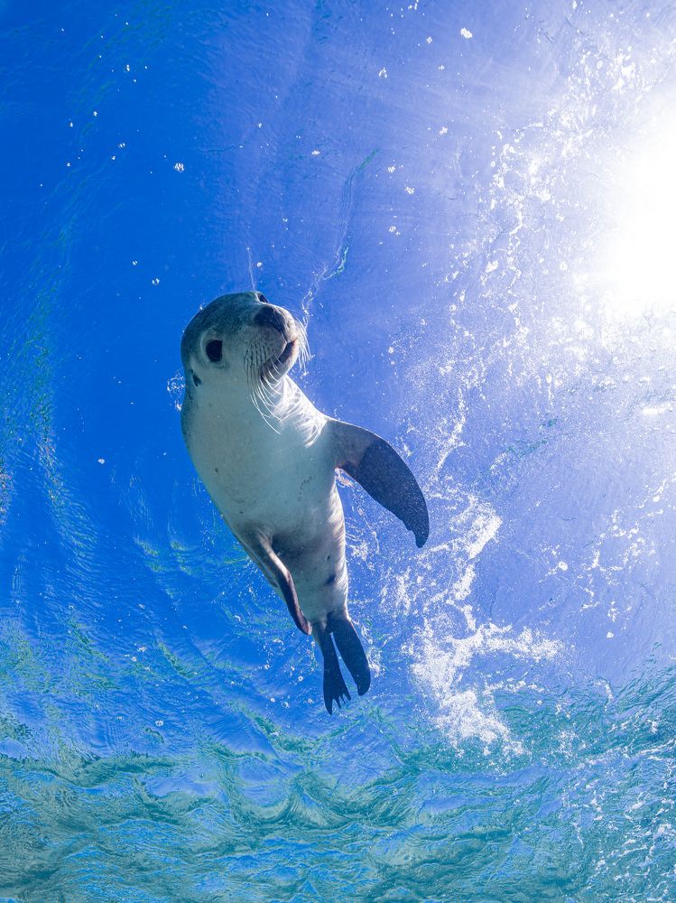 Photograph by Junya Higashi