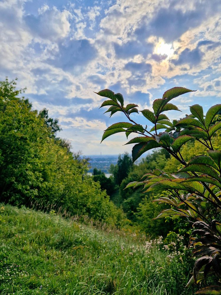 Photograph by Елена Семкина