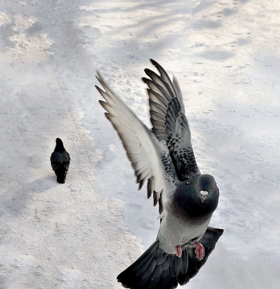 Photograph by Искандар Газизов