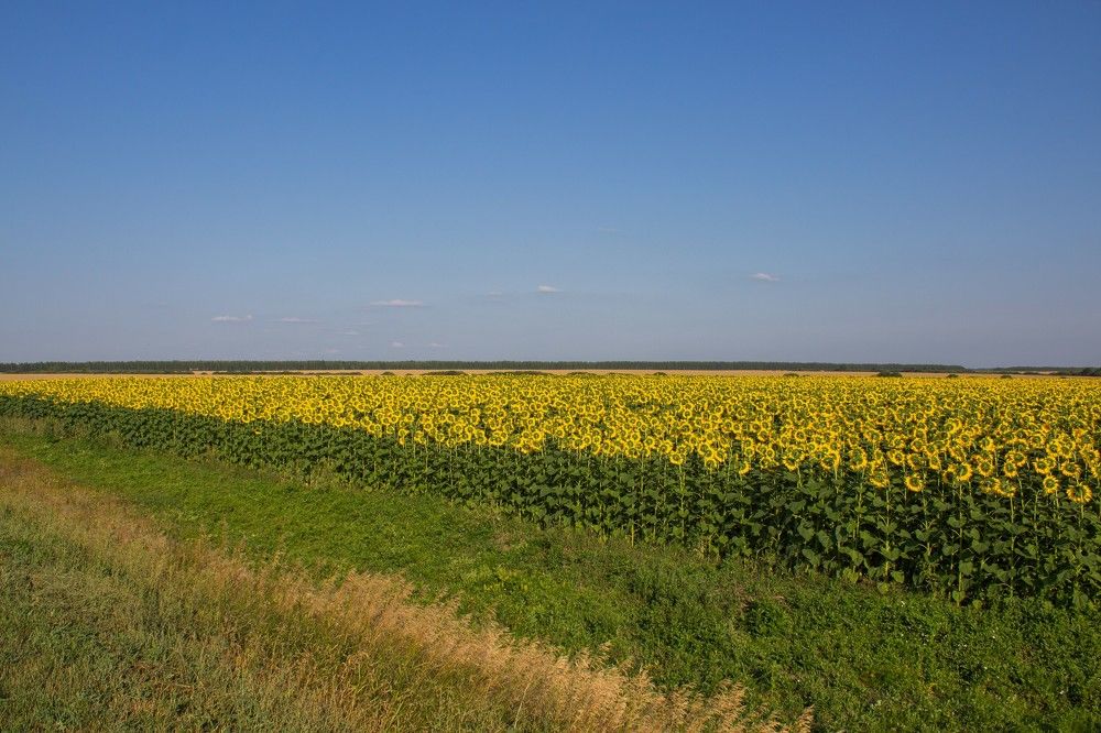 Photograph by Анна Крюкова