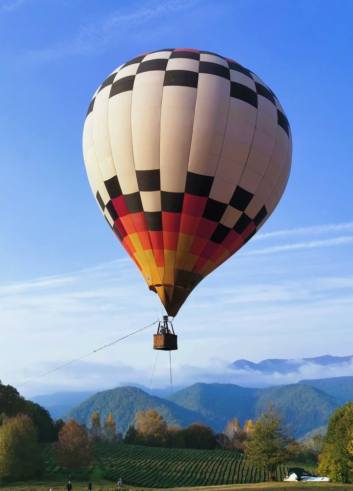 Photograph by Анастасия Бреева