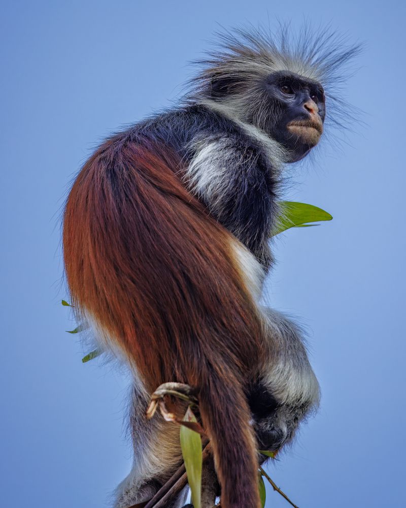 Photograph by Ellen Lichtenheldt