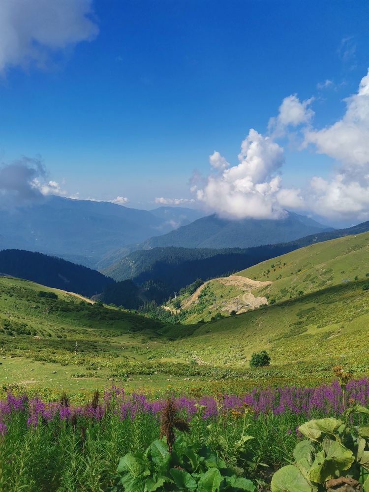 Photograph by Анастасия Бреева