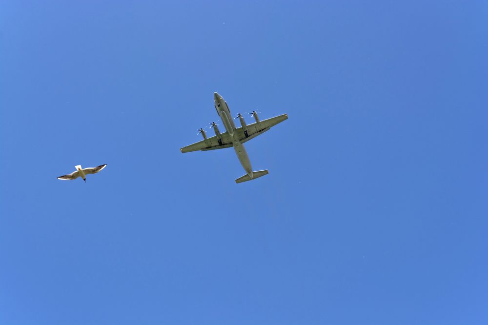 Photograph by Ольга Михайлова