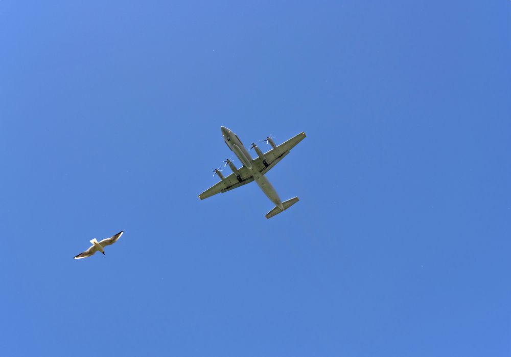 Photograph by Ольга Михайлова