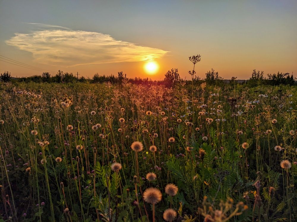 Photograph by Светлана Кондрашова