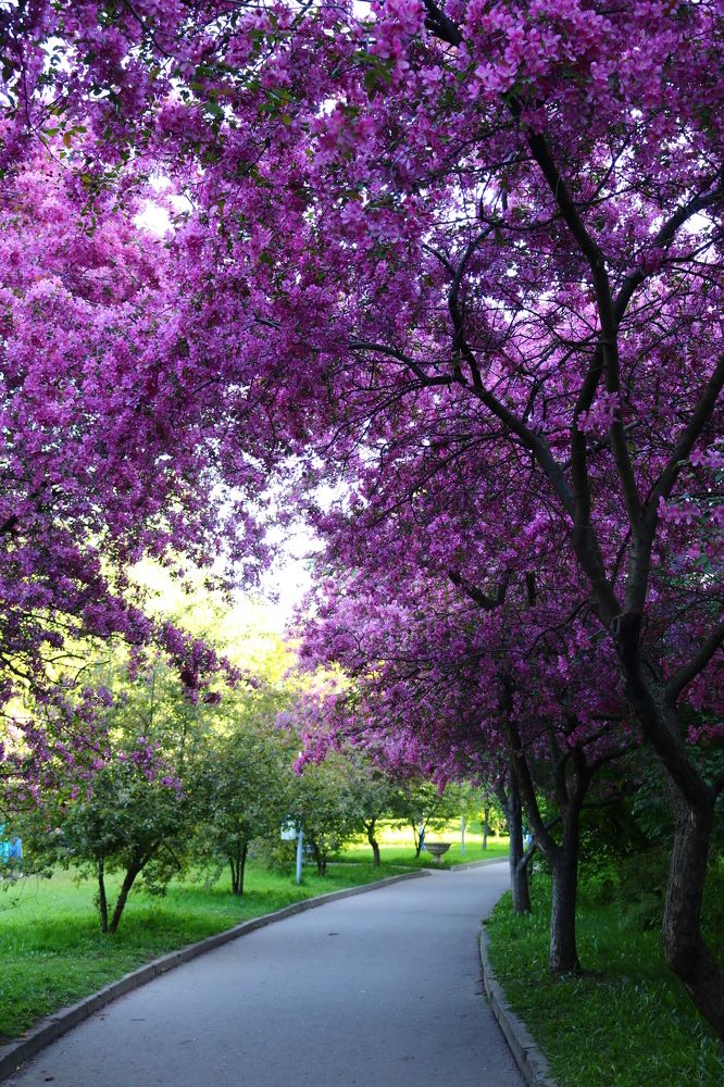 Photograph by Светлана Шуткова