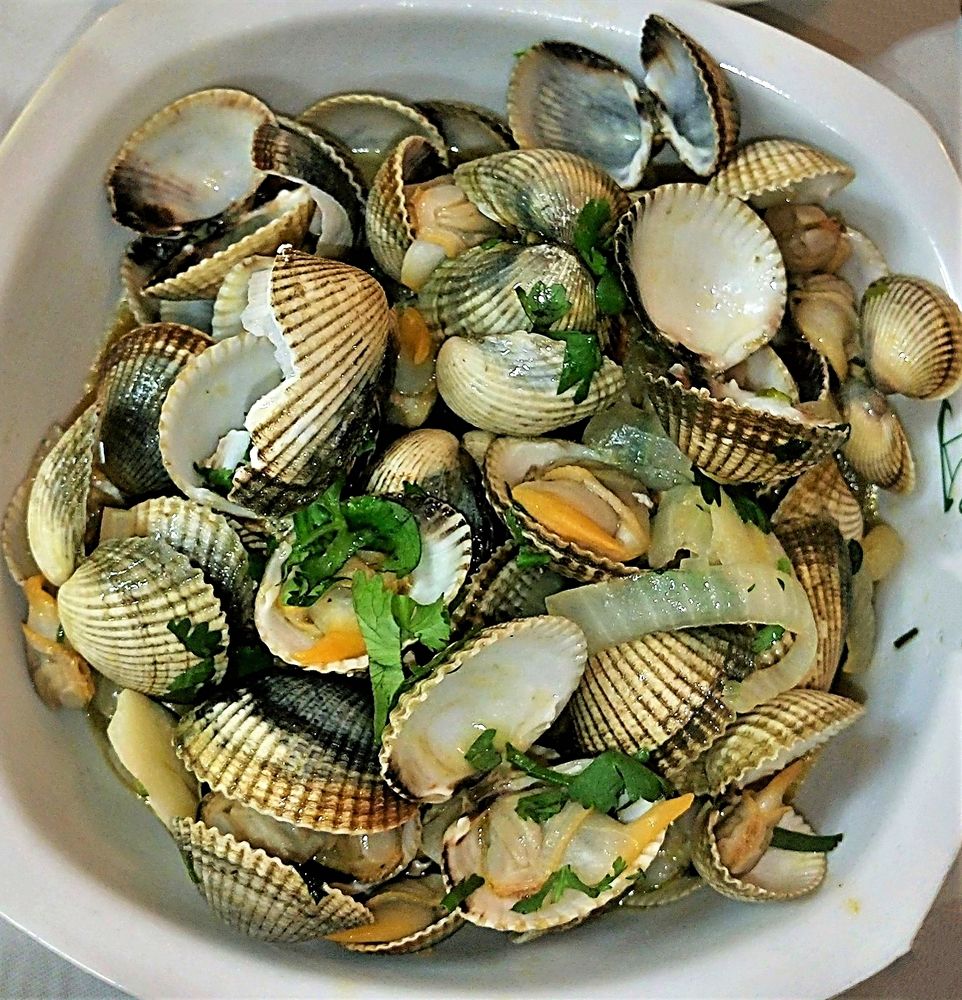 Clams