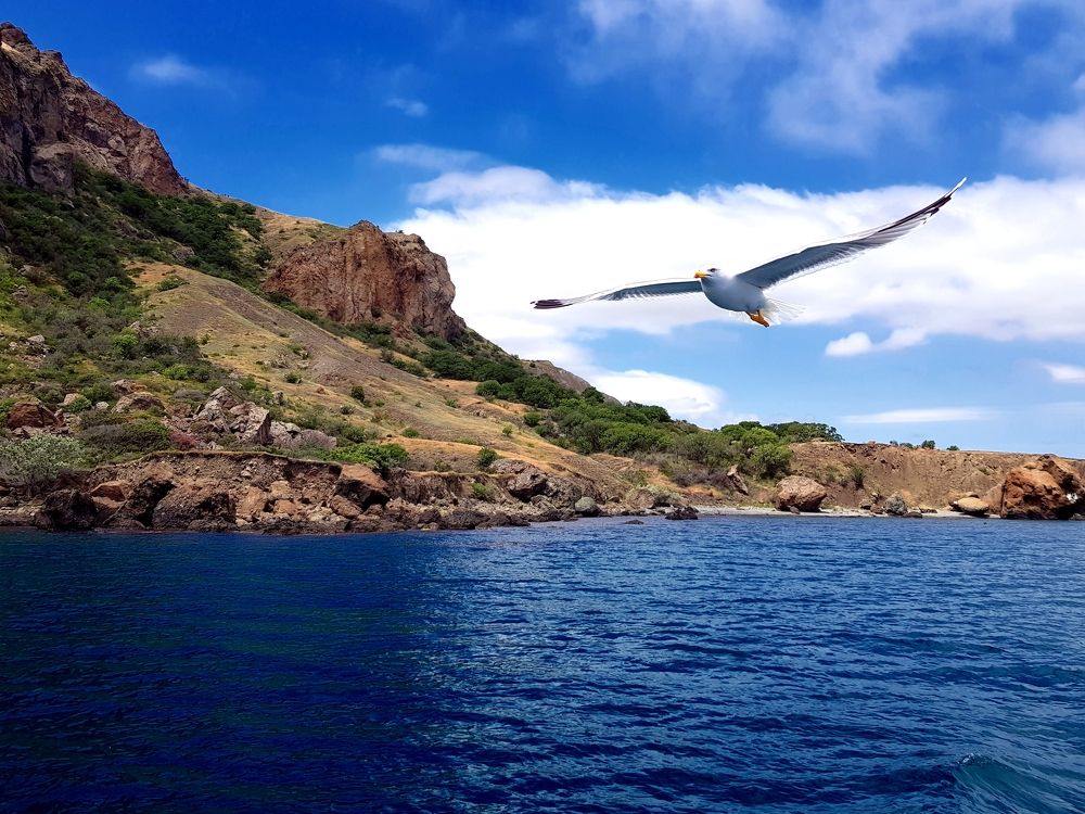 Photograph by Григорий Гуцол