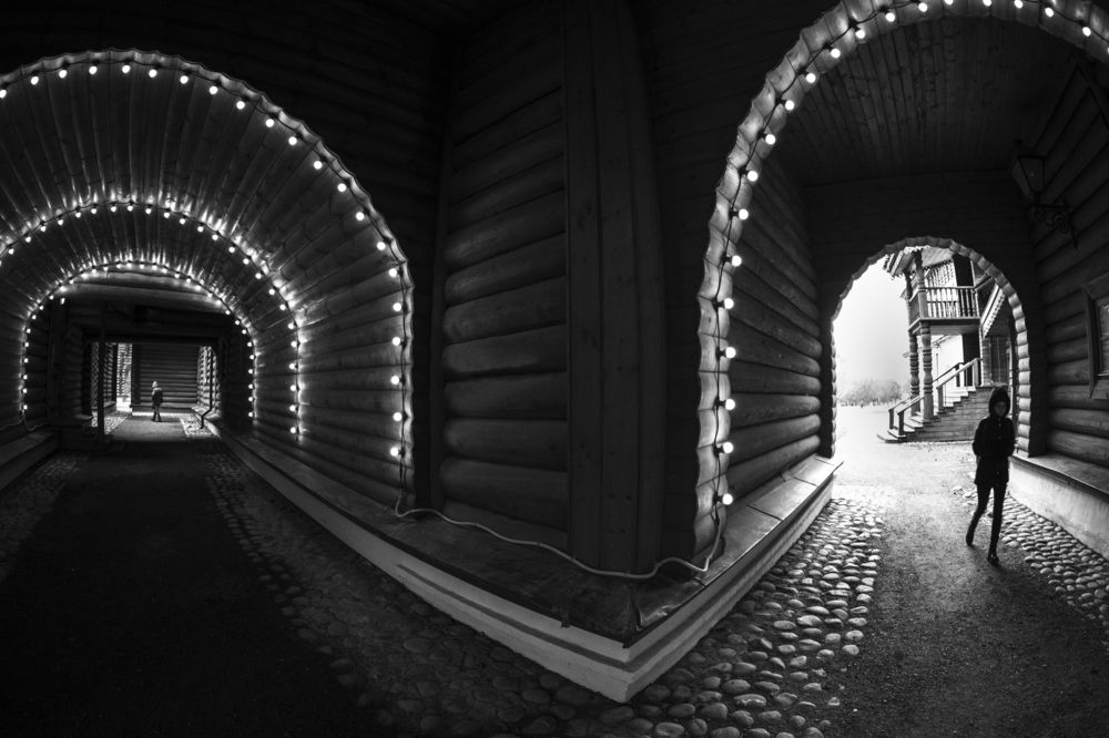 Photograph by Алексей Федотов