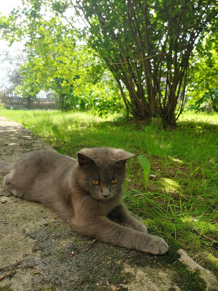 Photograph by Екатерина Борисовна Кузьмина