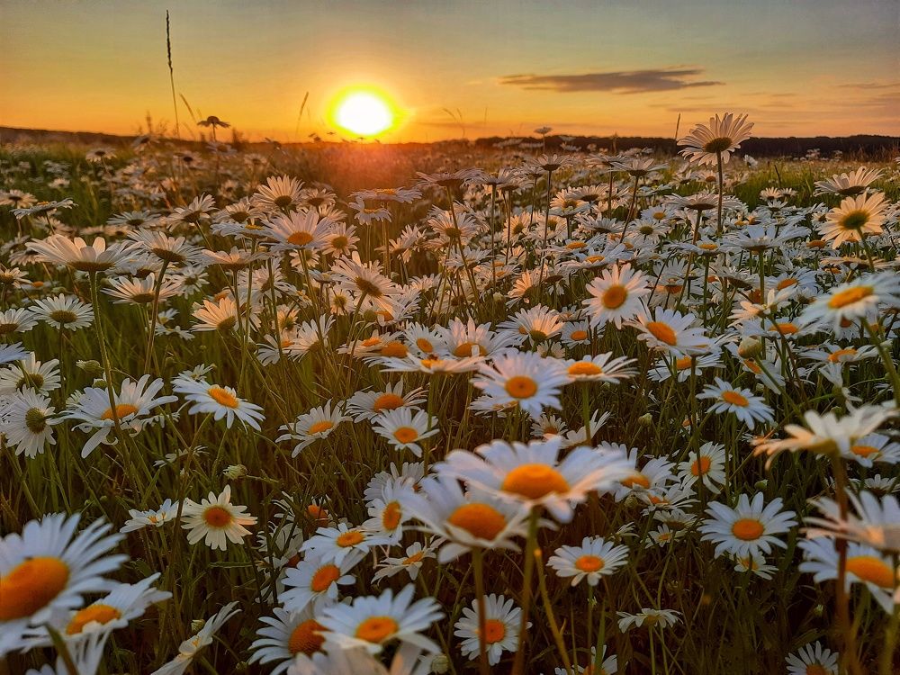 Photograph by Татьяна Кива