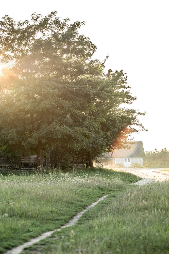 Photograph by Марина Котова