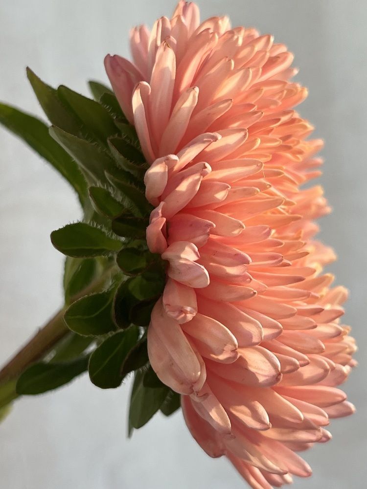 Photograph by Ольга Томашевич