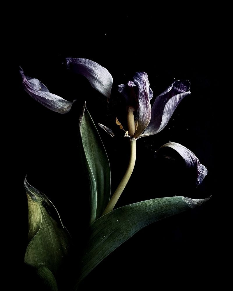 Photograph by Iuliia Akhulkova