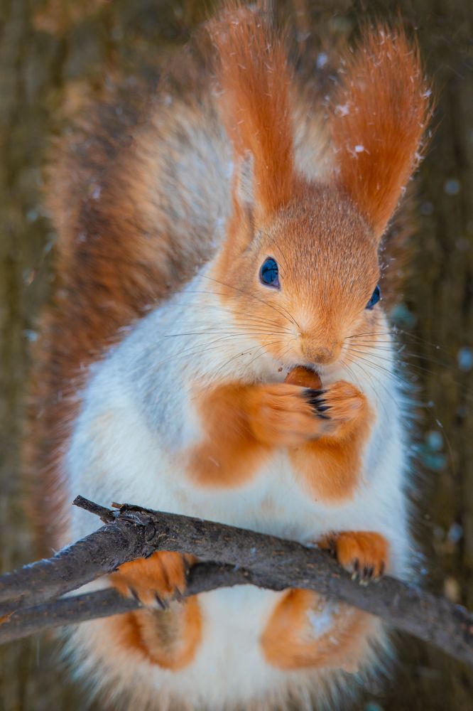 Photograph by Чудинин Дмитрий