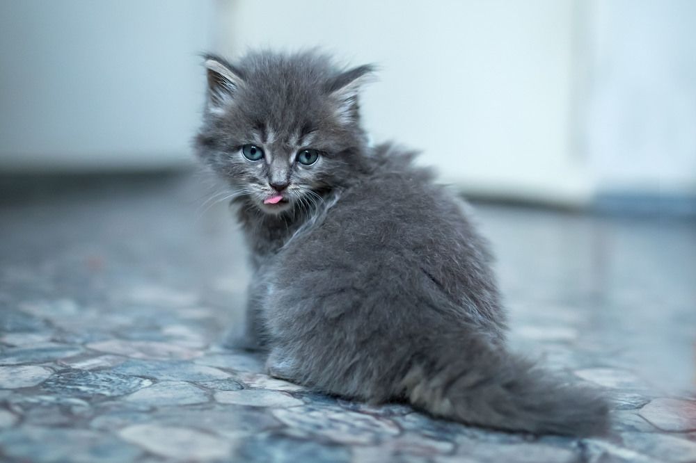 Photograph by Татьяна Дубовицкая