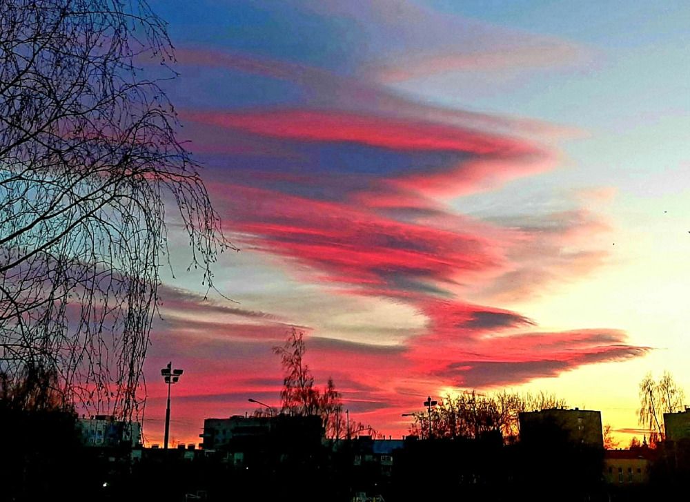 Дракон, летящий по вечернему небу в закат..