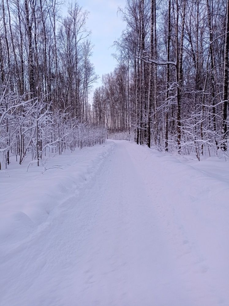 Photograph by Александра Самгина