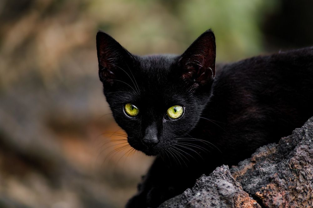 Photograph by Daria Osipova