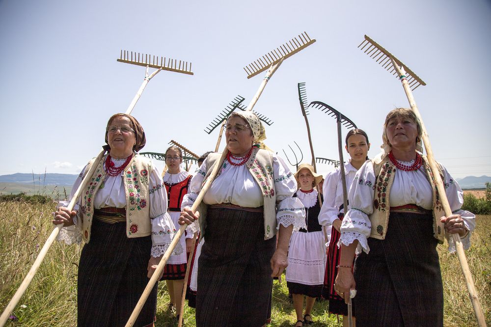 Photograph by Borsi Balázs