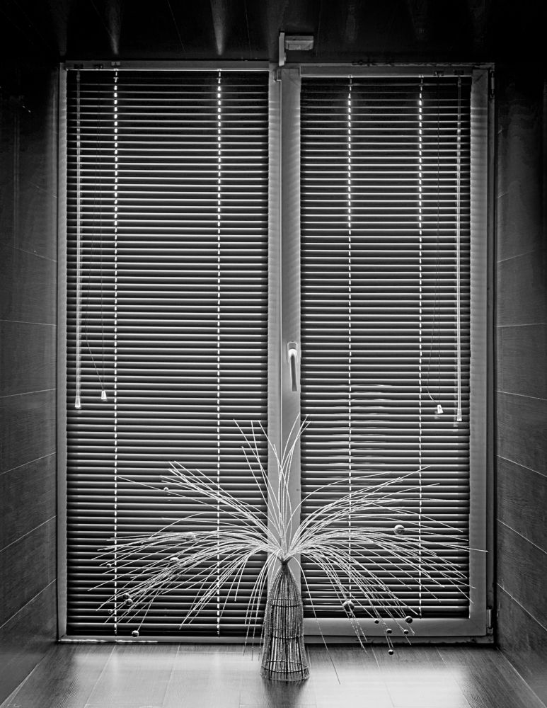 Photograph by Игорь Зиновьев