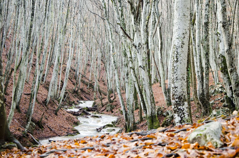 Photograph by Юрий Юрченко