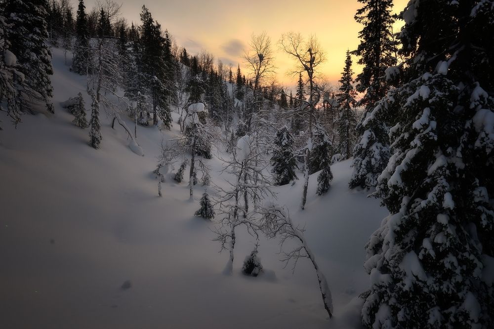 Photograph by Алексей Никонов