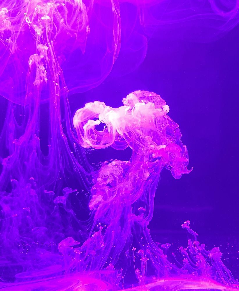 Photograph by Дарья Бобылева