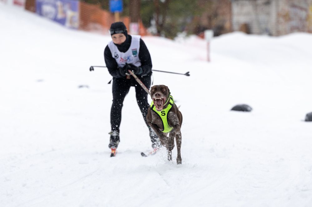 Photograph by Илья Юфа