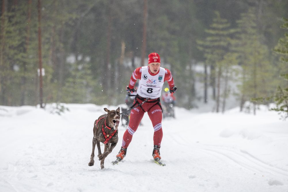 Photograph by Илья Юфа