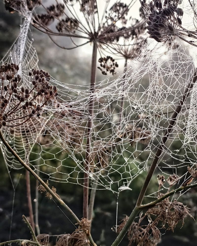 Photograph by Ольга Третьякова