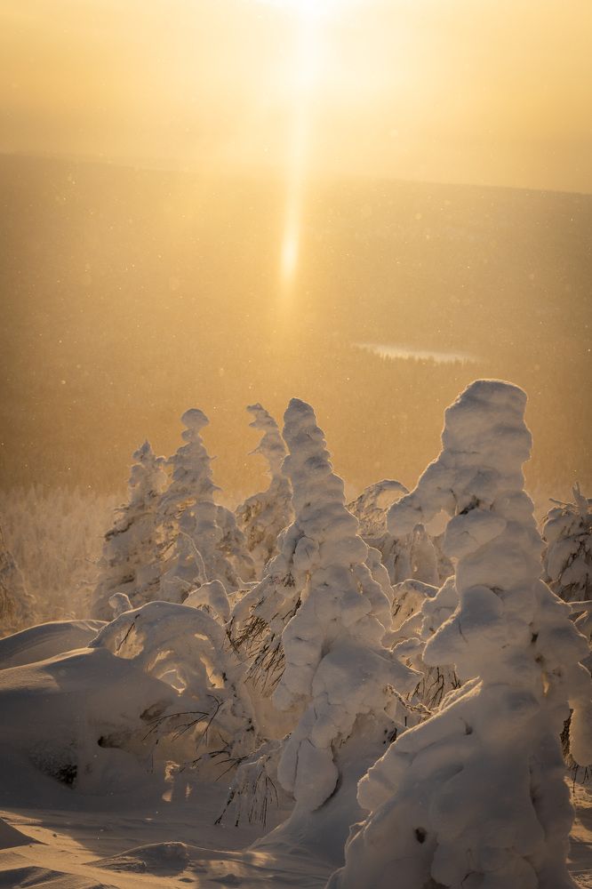 Фотография автора Светлана Зимина