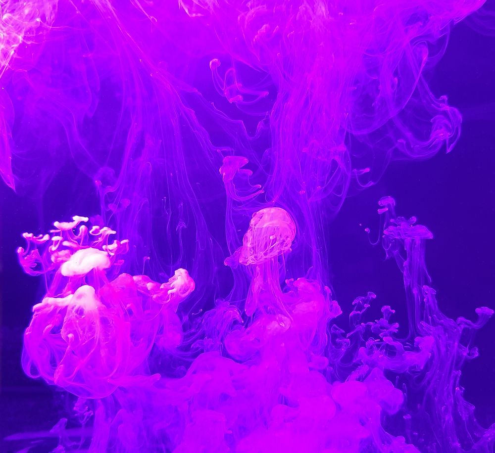 Photograph by Дарья Бобылева