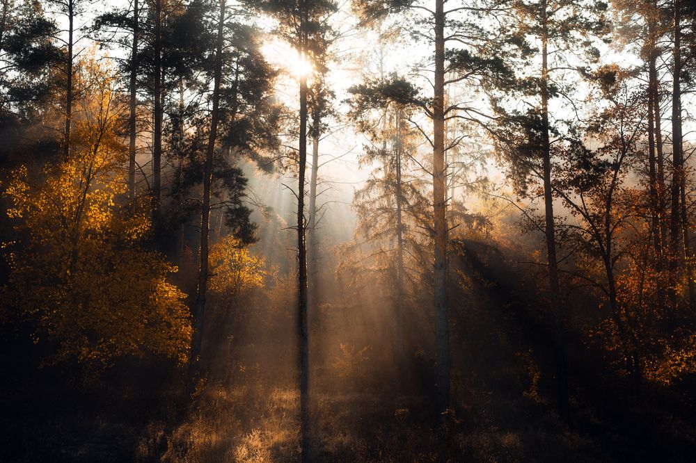 Photograph by Oleg Suhenko