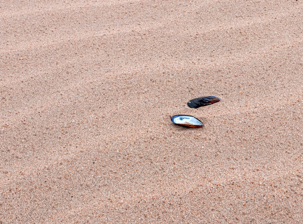 Photograph by Сергей Христинич