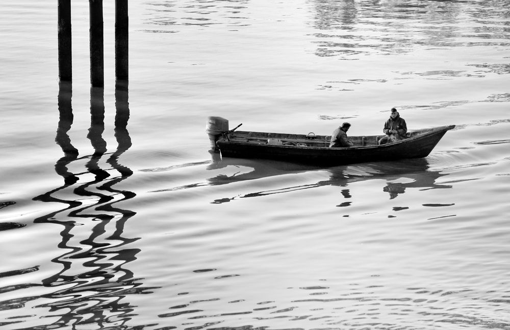 Фотография автора Hadis Rezayati