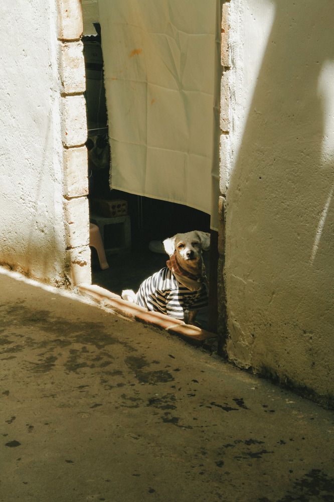 Photograph by Phan trung tai