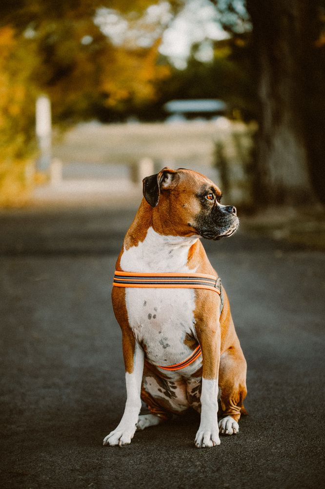 Photograph by Daria Osipova