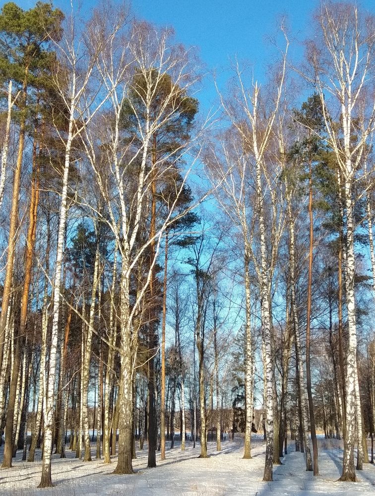 Photo #10342051