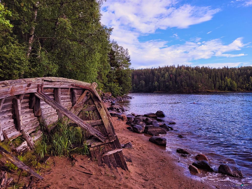 Фотография автора Никита Гребнев