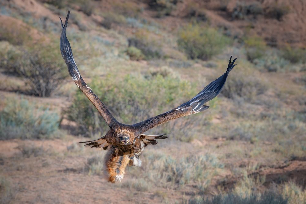 Фотография автора Kaznov Stanislav
