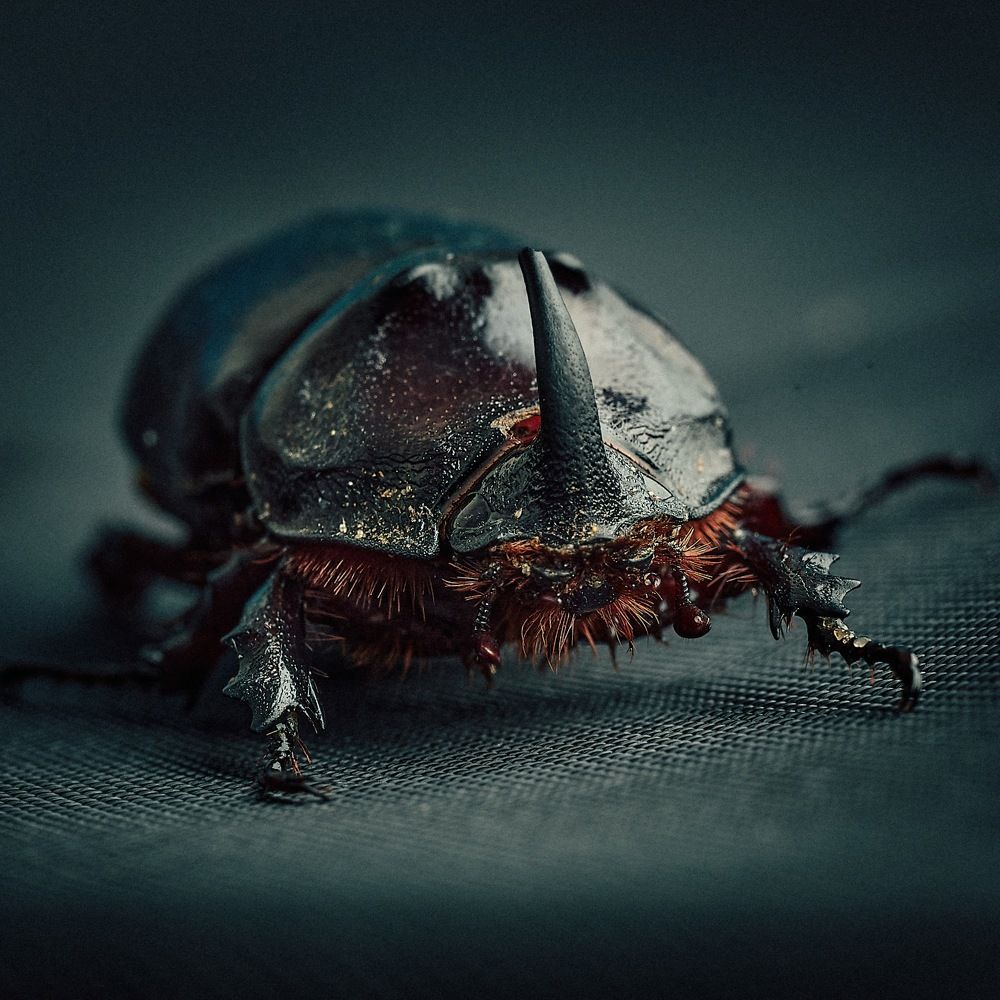 Photograph by Mikhail Khmelevskiy